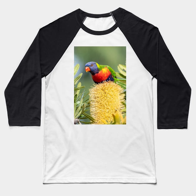 Rainbow Lorikeet on Banksia Baseball T-Shirt by AndrewGoodall